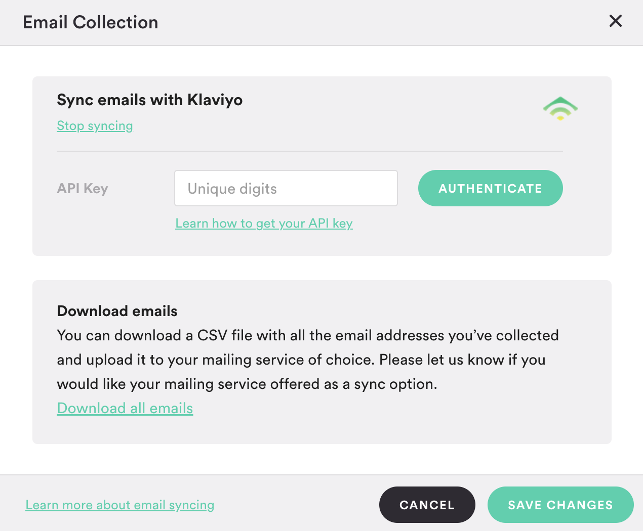A page where Klaviyo’s API key can be authenticated.