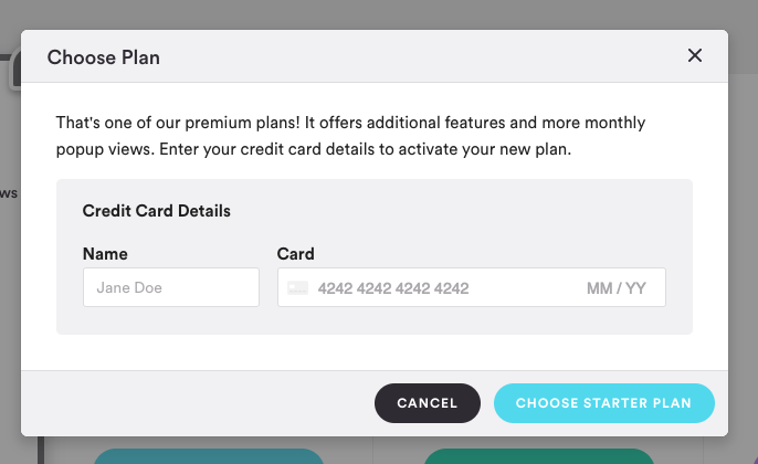 Settings within Pixelpop on BigCommerce for entering credit card details.
