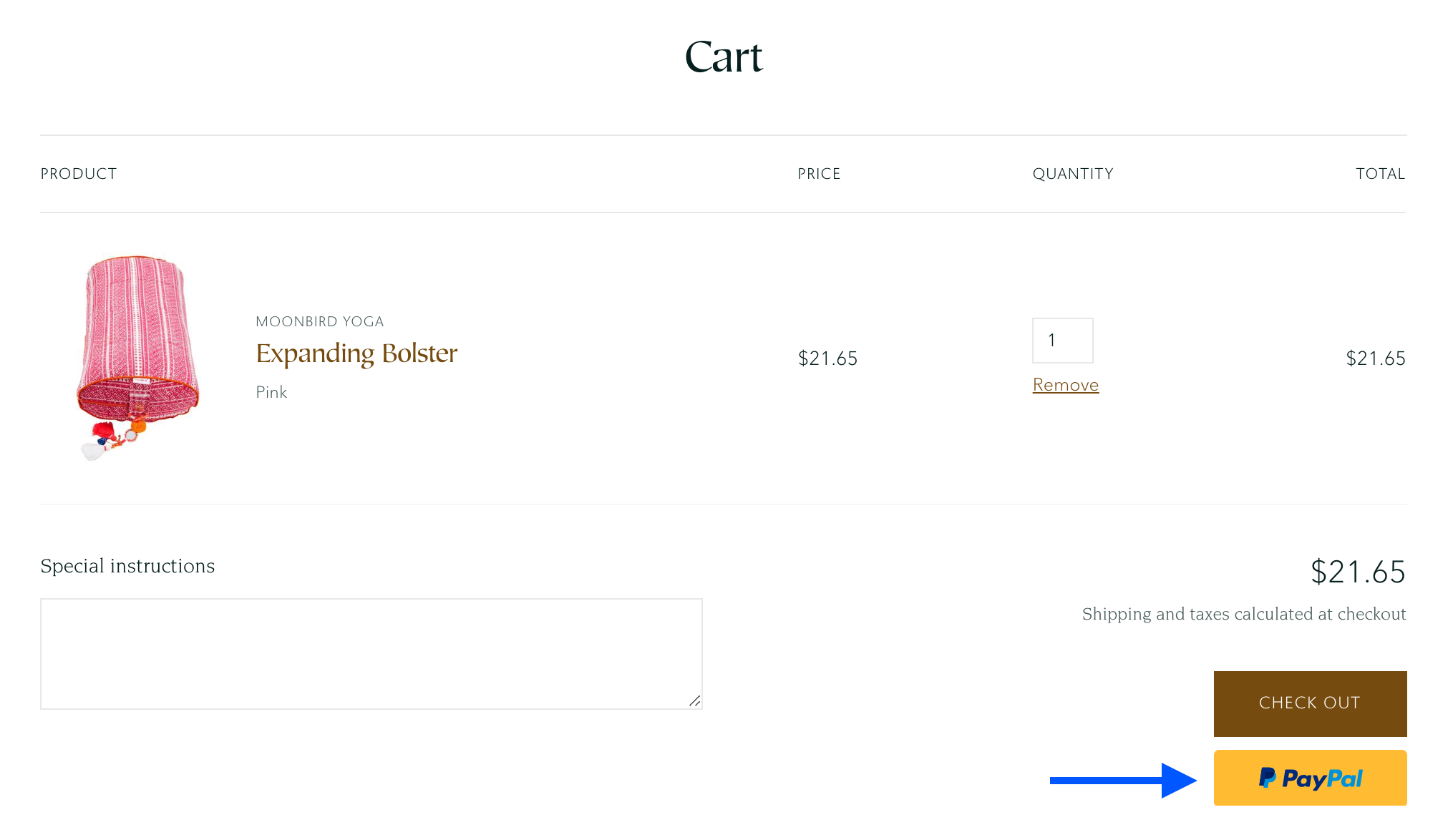 An external checkout button on the cart page next to the regular checkout button.